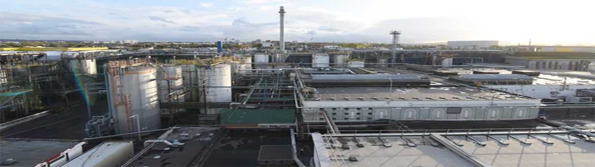 A picture of the Rouen plant